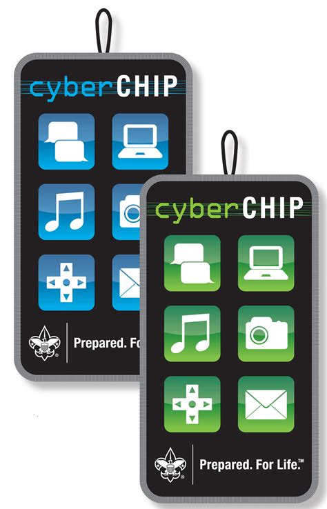 bsa cyber chip requirements